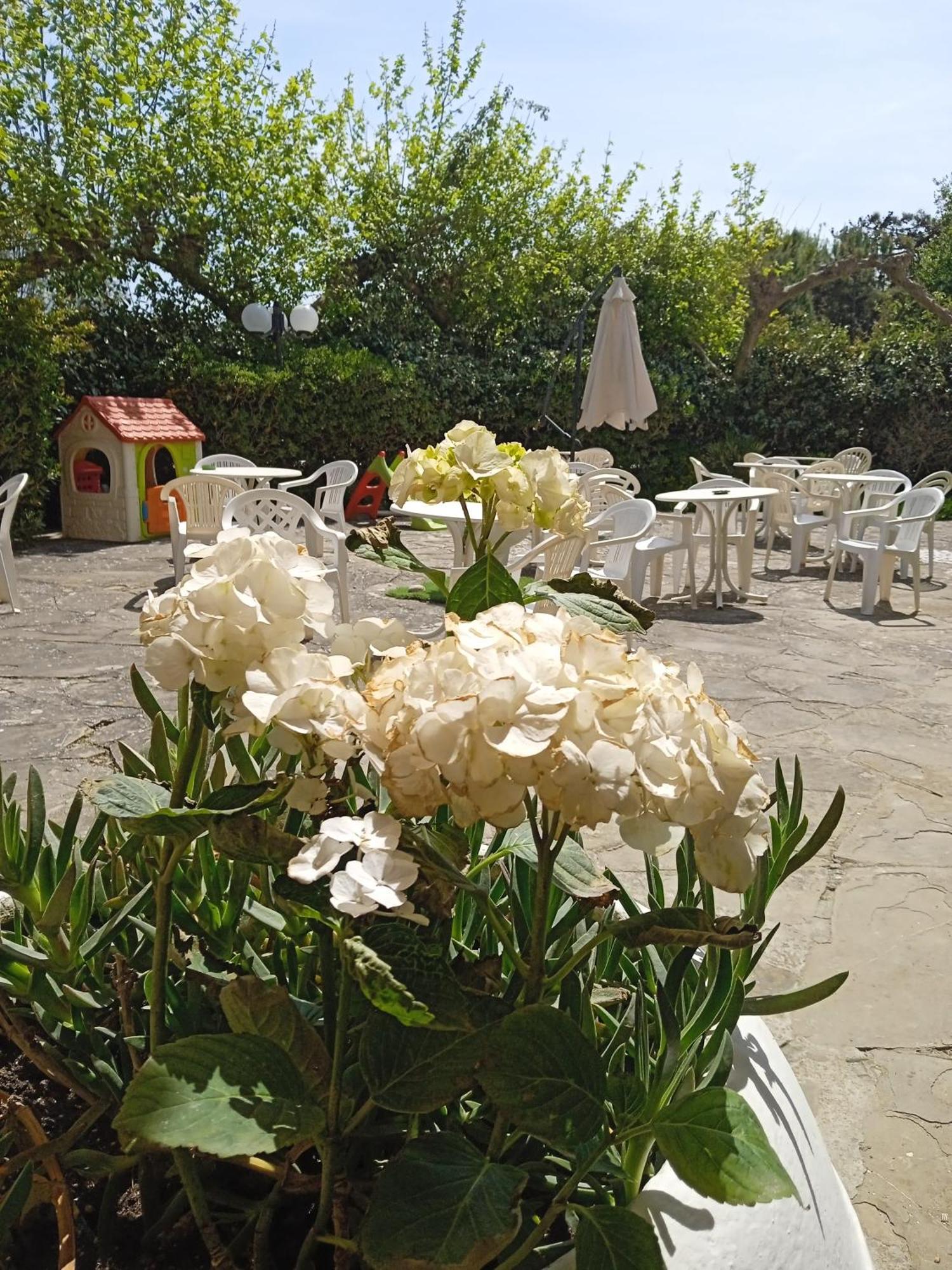 Hotel Buenos Aires Cervia Buitenkant foto